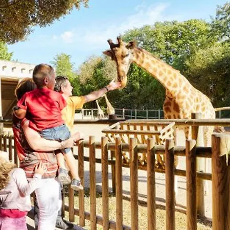 T3 Renove Face A La Avec Garage Et Wifi - Fr-1-92-919