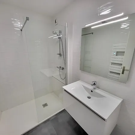 T3 Renove Face A La Avec Garage Et Wifi - Fr-1-92-919