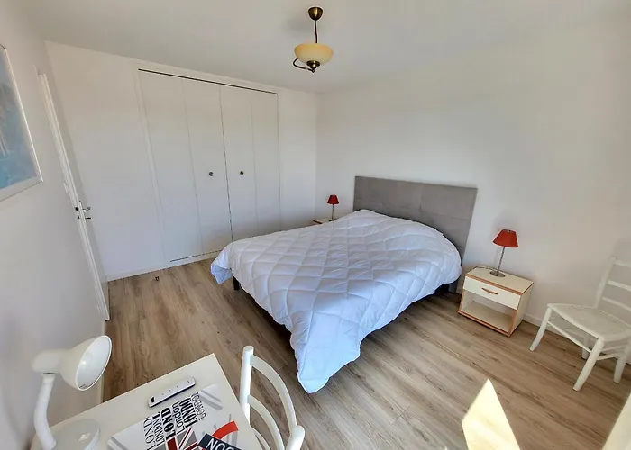 T3 Renove Face A La Avec Garage Et Wifi - Fr-1-92-919