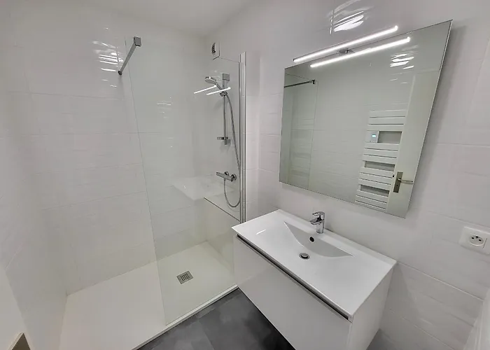 T3 Renove Face A La Avec Garage Et Wifi - Fr-1-92-919